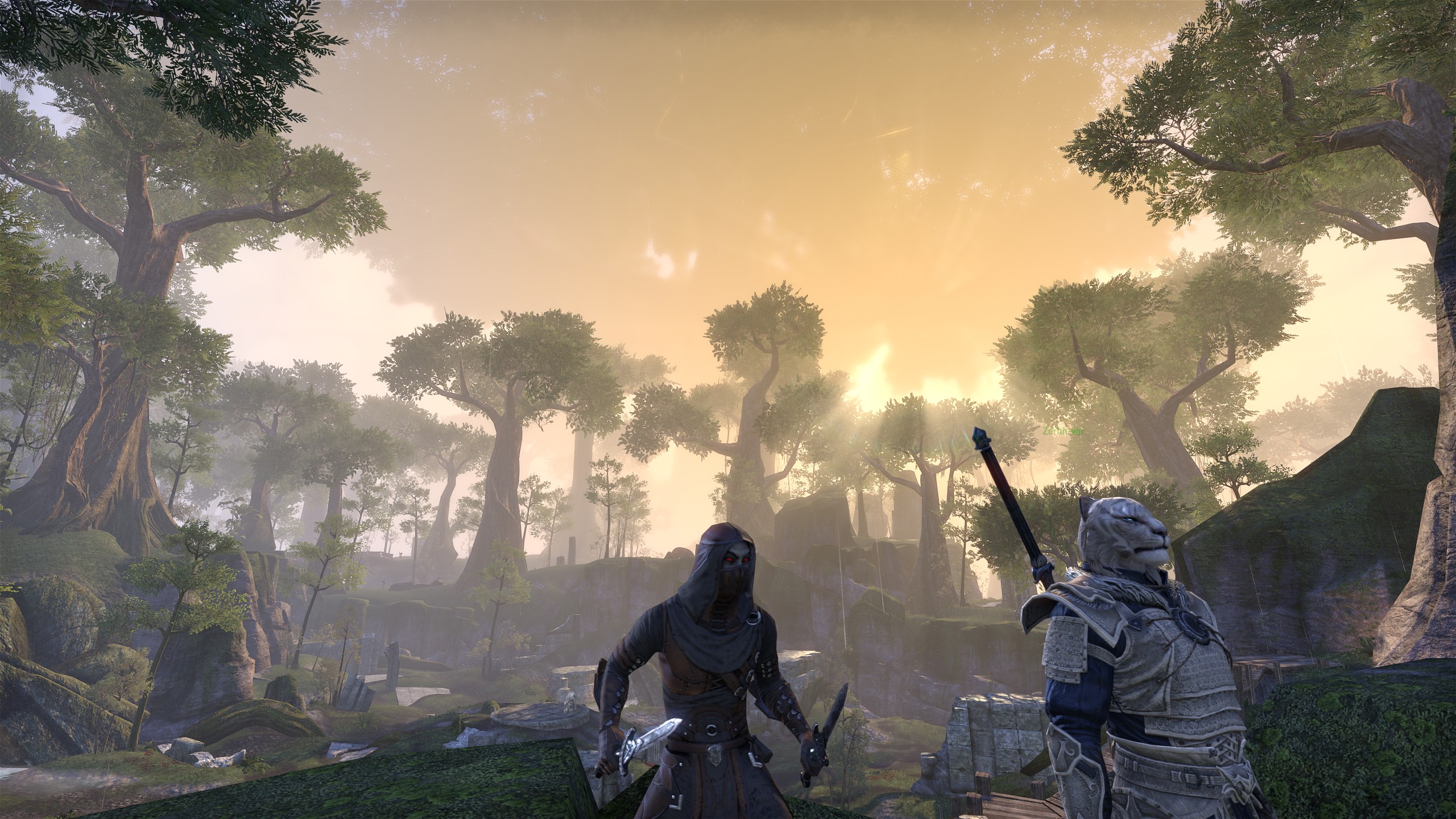 Améliorer graphiquement TESO grâce aux filtres NVIDIA